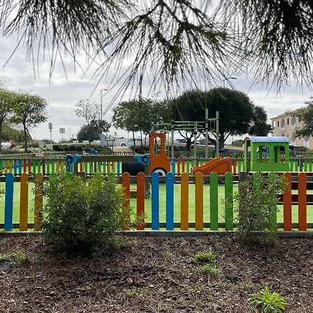 Shell's * Carvoeiro (Lagoa)